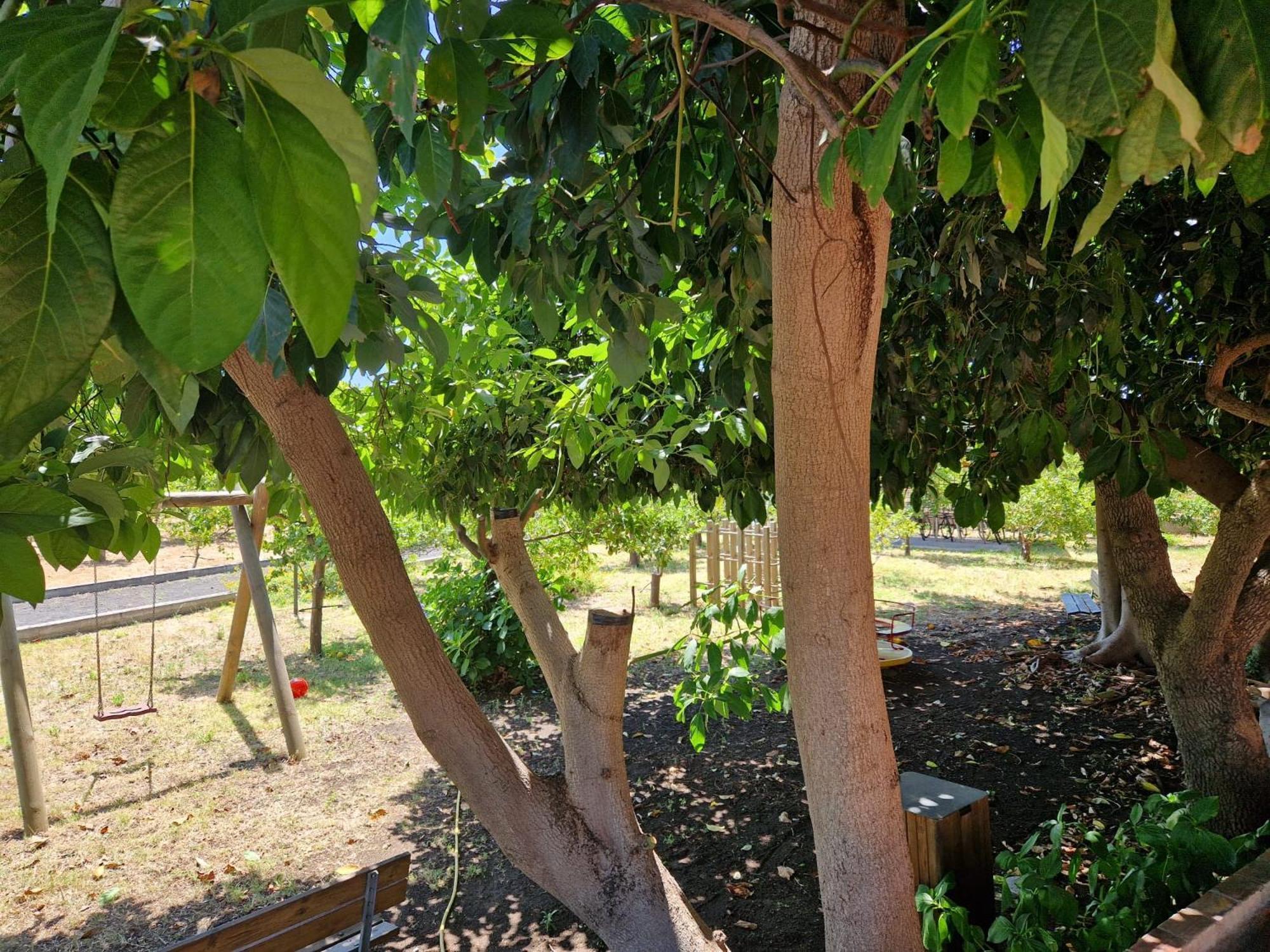 Lumia Villa Riposto Bagian luar foto